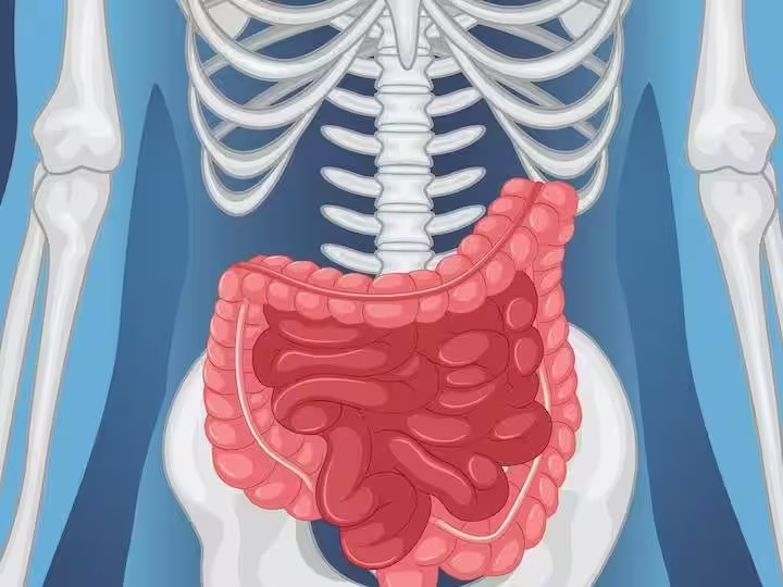 पेट के आसपास बननी लगे चर्बी तो हो जाएं अलर्ट? हो सकता है बड़ी आंत का कैंसर