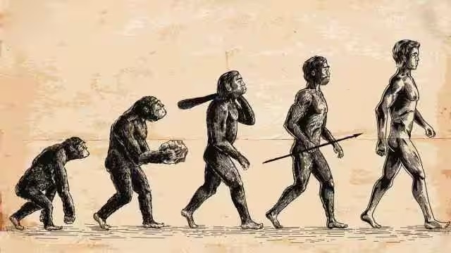 एनसीईआरटी की किताबों से हटाई गई डार्विन थ्योरी!