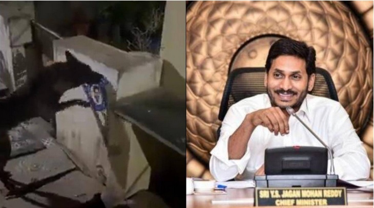 आंध्र सीएम का पोस्टर फाड़ने पर कुत्ते के खिलाफ एफआईआर
