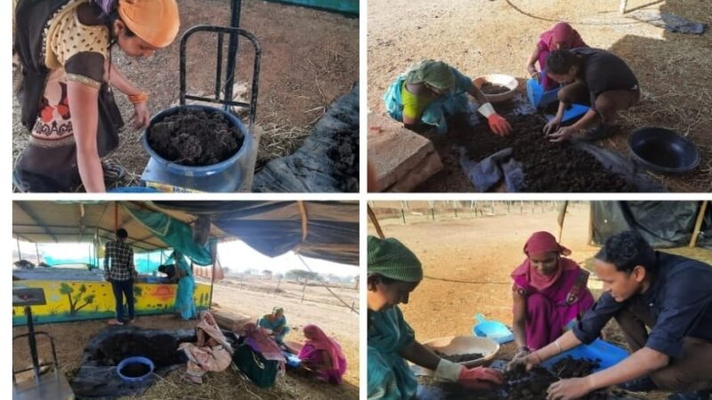 खैरागढ़ विकासखंड के घोठिया ग्राम की महिलाएं खुद बना रही हैं आर्थिक सशक्तीकरण की राह