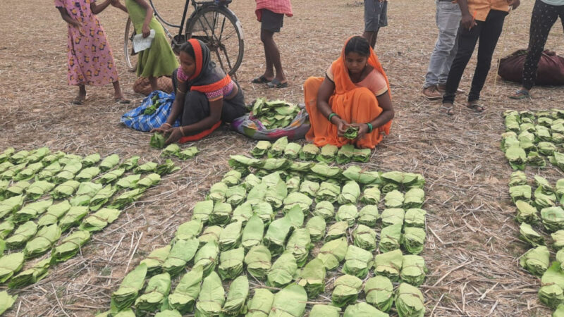 वनाश्रितों के आय में लगातार हो रही वृद्धि