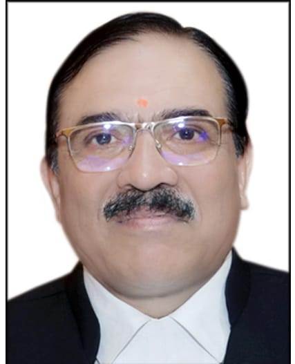 एडिशनल जज श्री दीपक तिवारी बने हाई कोर्ट के स्थायी जज