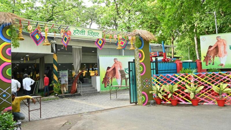 सीएम हाउस में होवत हे हरेली तिहार के जोरदार तैयारी