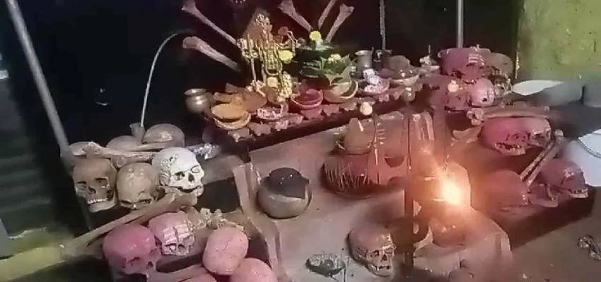 फार्म हाउस में 25 खोपड़ियां..सोने के लिए हड्डियों का बिस्तर